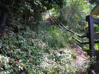 急な山道