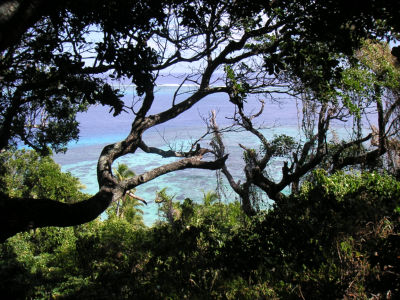 海