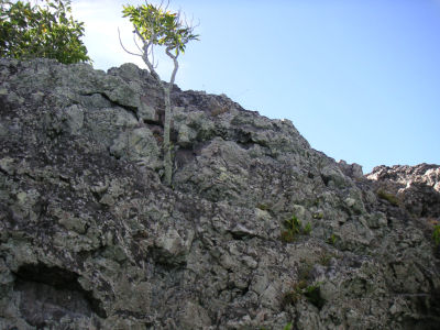 山頂