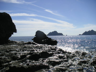 岩場
