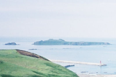 トド島