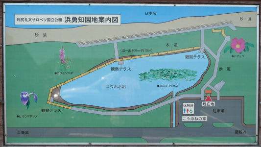 案内図