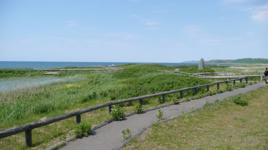 散策路