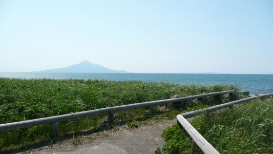 海岸に出る道
