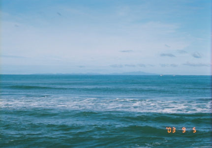 礼文島