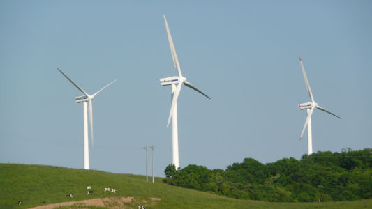 牛と発電機