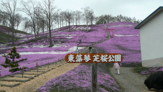 ＧＷ翌週