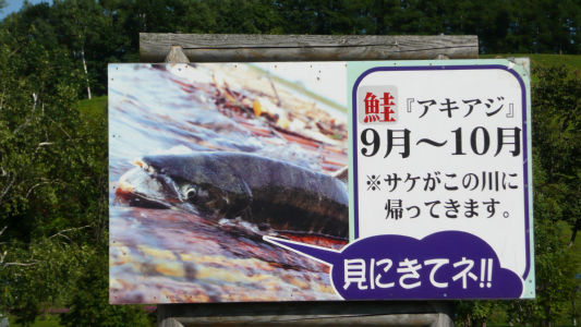 看板