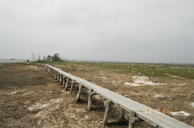 遊歩道
