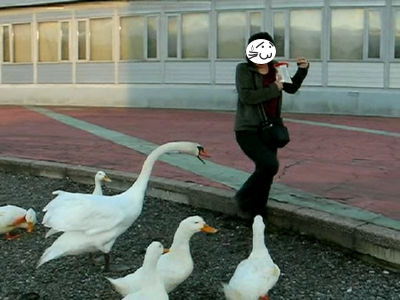 エサくれ、ゴルァ