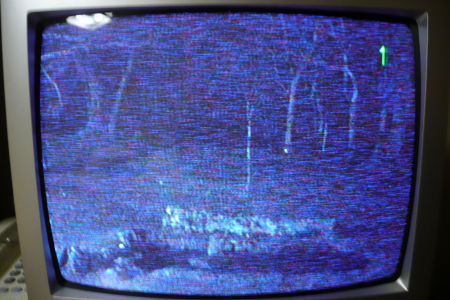 貞子ＴＶ