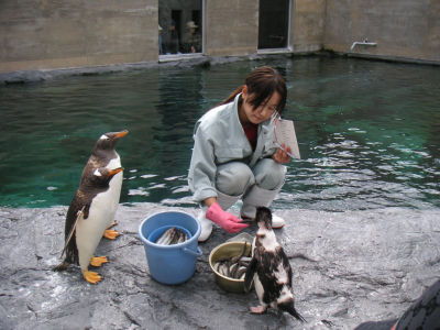 ほっきょくぐま館
