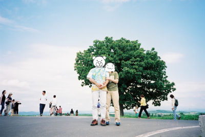 セブンスターの木