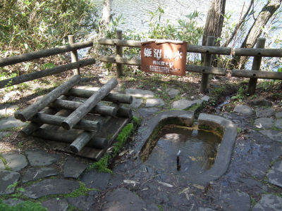 姫沼湧水