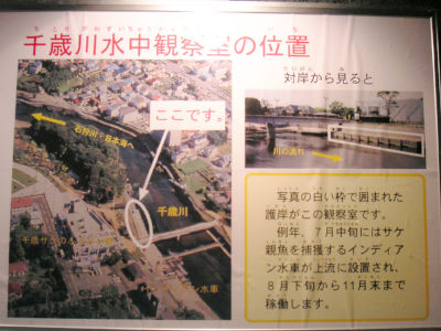 水中観察室