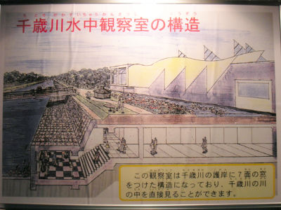 水中観察室の構造