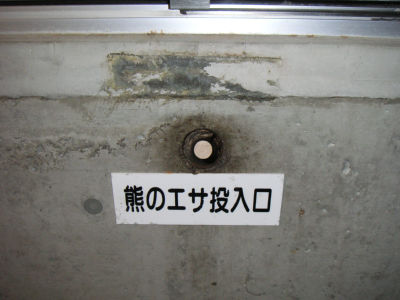 熊の穴