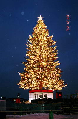 クリスマスツリー