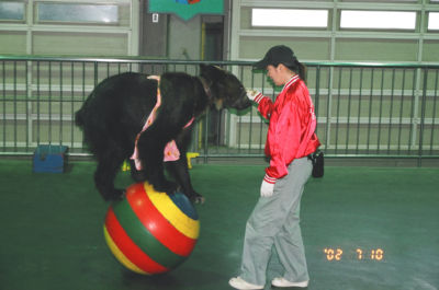 曲芸