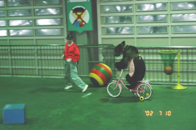 自転車