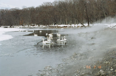 湯気