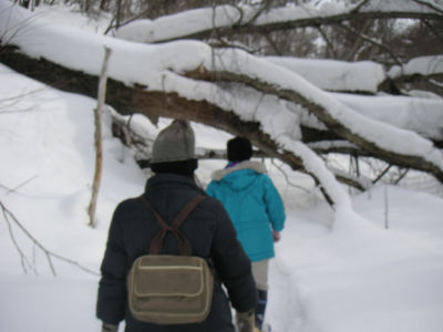 第二ポンポン山へ