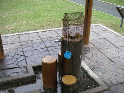 ワッカの水