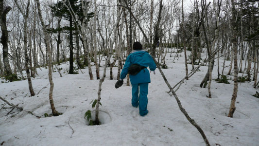 残雪