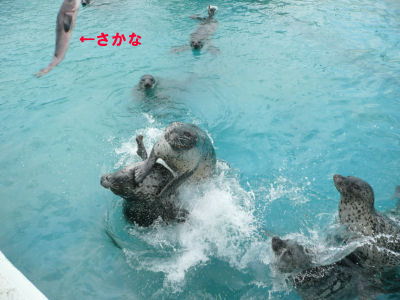 大騒ぎ