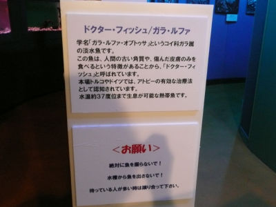 ガラ・ルファ