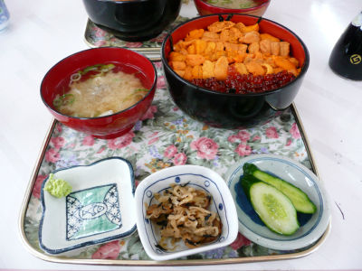 うにだけうに丼