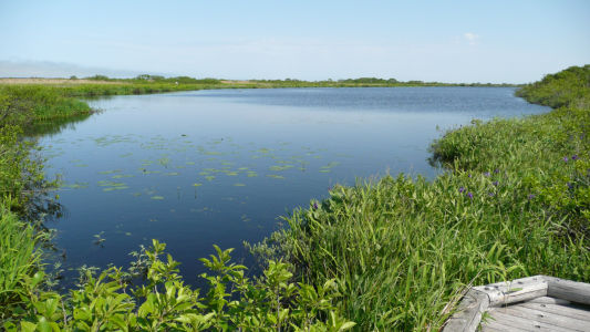 長沼