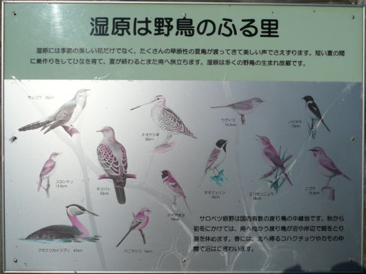 鳥の案内板