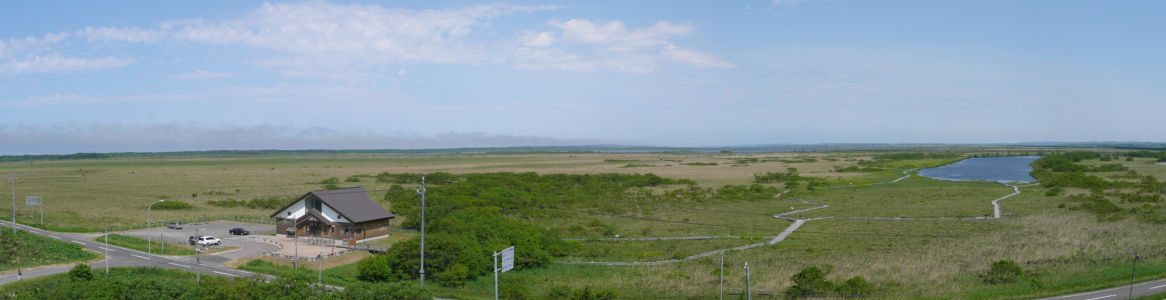 塔からの風景