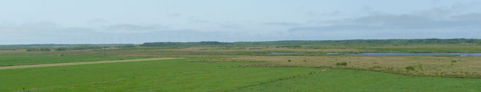 オトンルイ風力発電所
