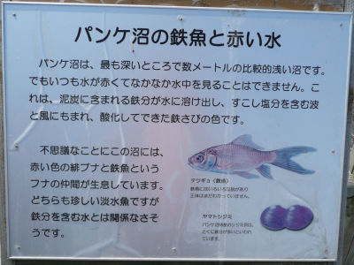 案内看板
