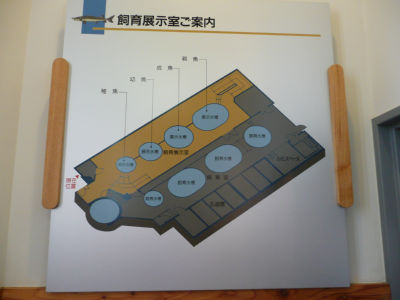 飼育展示室