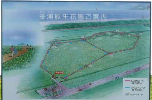 園内の様子
