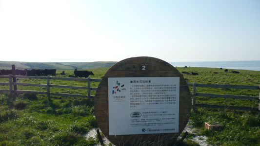 周氷河地形