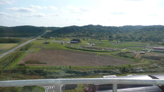 トナカイ牧場