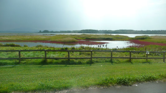 湯沸湖
