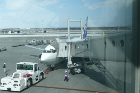 ANA4929便