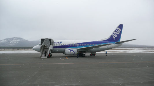 ANA4929便