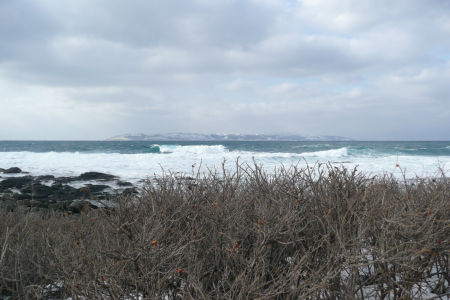 礼文島