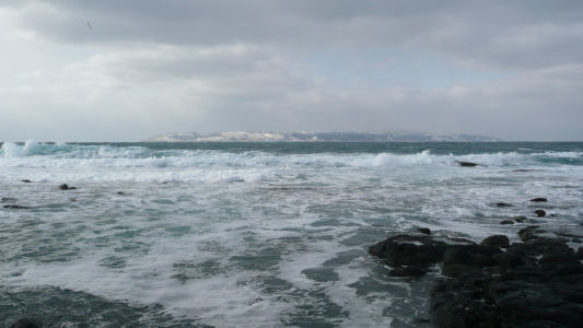 礼文島