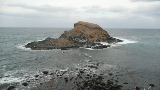 富士野園地