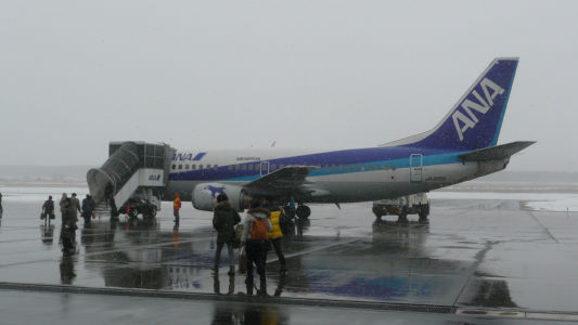 ANA4930便