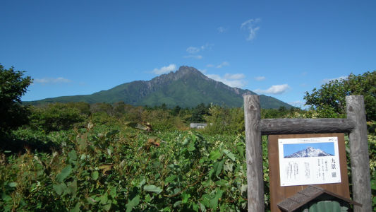 九景