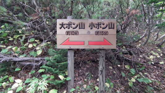 看板