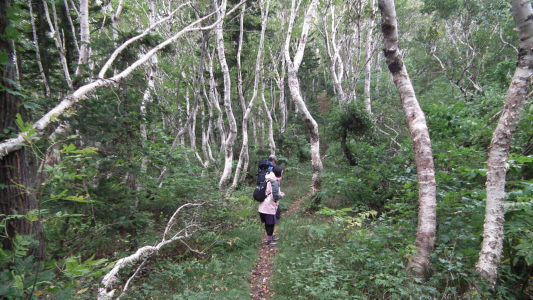 大ポン山～小ポン山